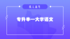 专升本大学语文